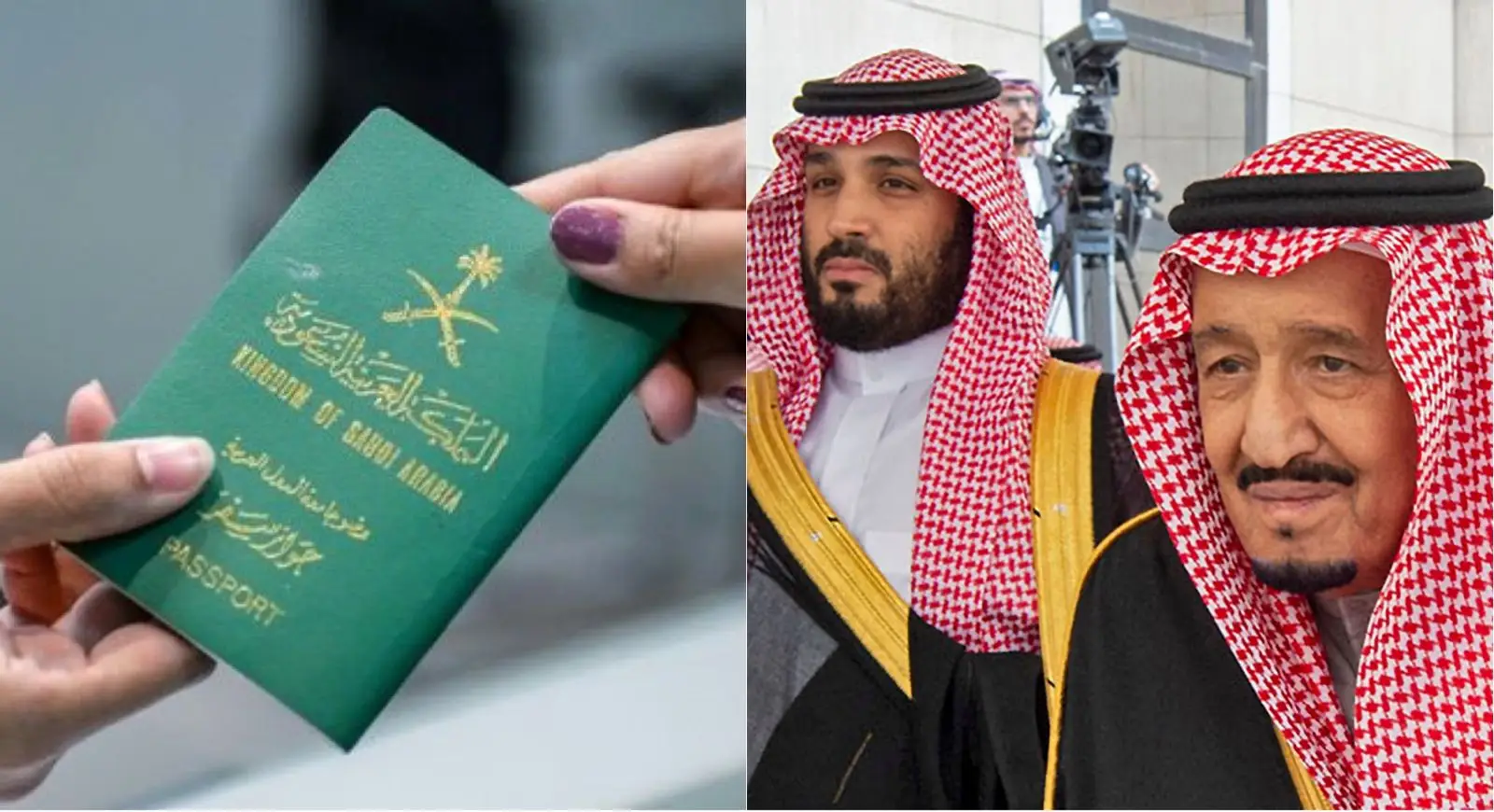 معقب جوازات